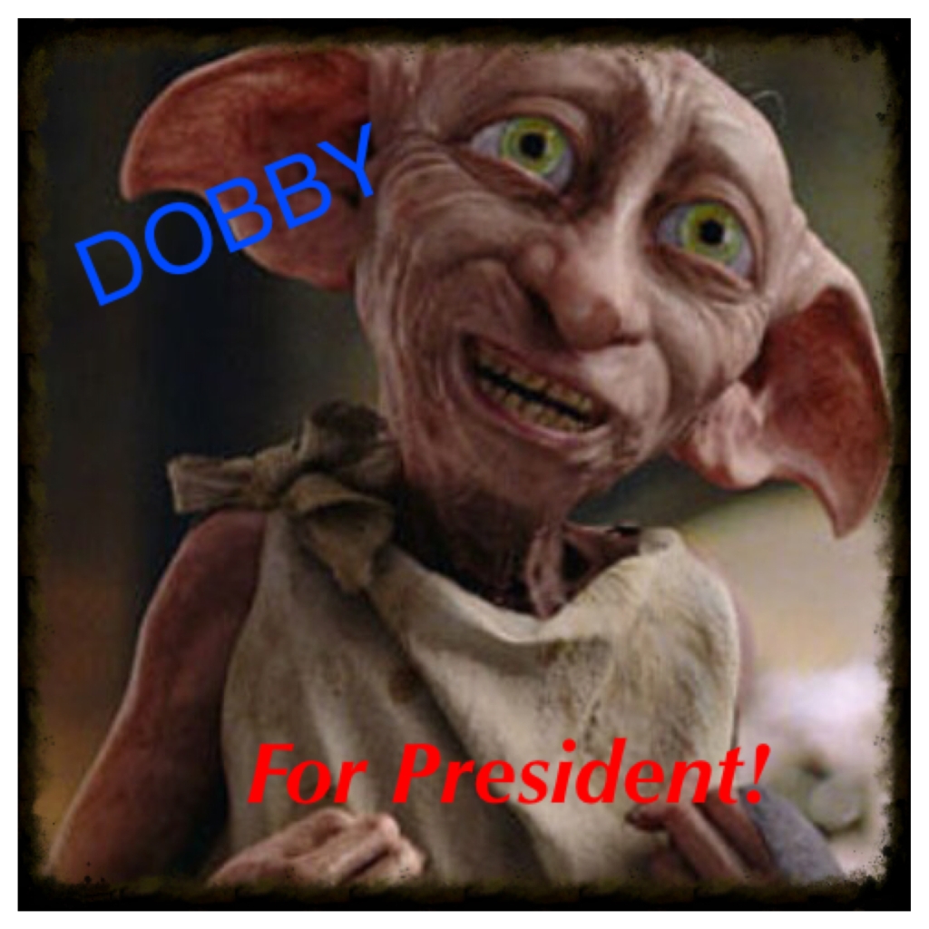 Dobby For President